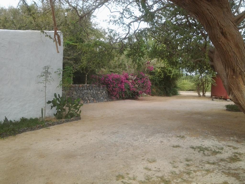 Villa Morabeza Guest House Mindelo Rom bilde